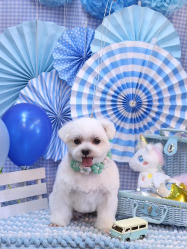 20231125マルちゃん